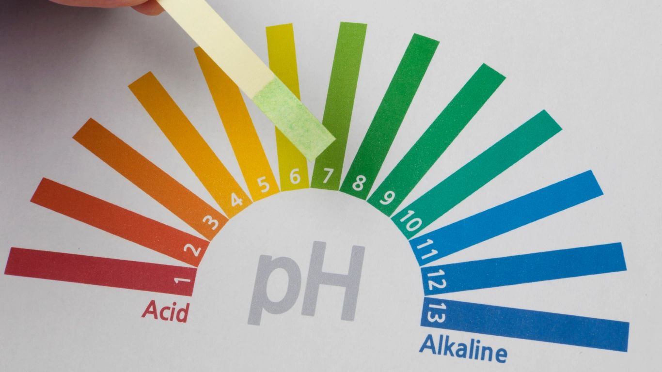 Gia đình lựa chọn sản phẩm chăm sóc nhà cửa PRIDE